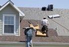 Forrestskylights-2.jpg; ?>